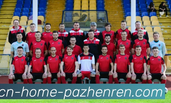 App Interface Preview